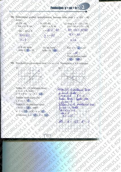 43 Puslapis