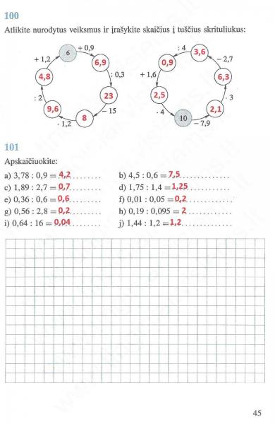 45 Puslapis