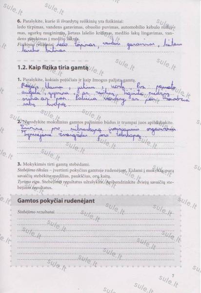 7 Puslapis