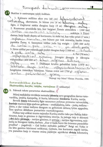 19 Puslapis