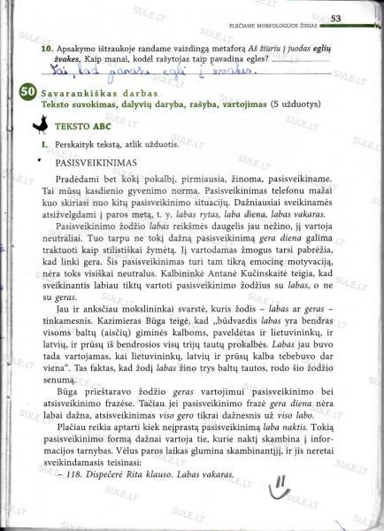 53 Puslapis