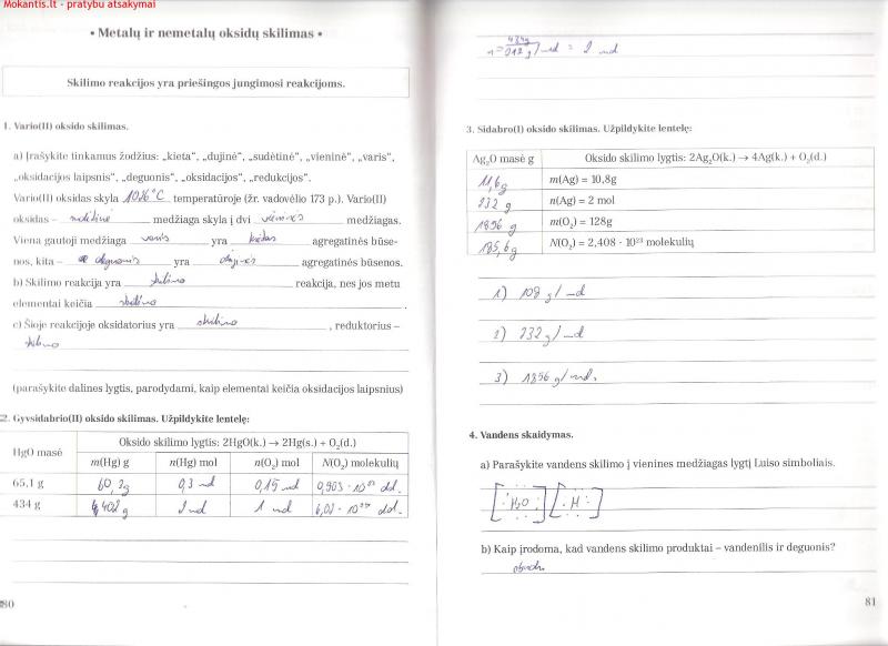 80-81 Puslapis