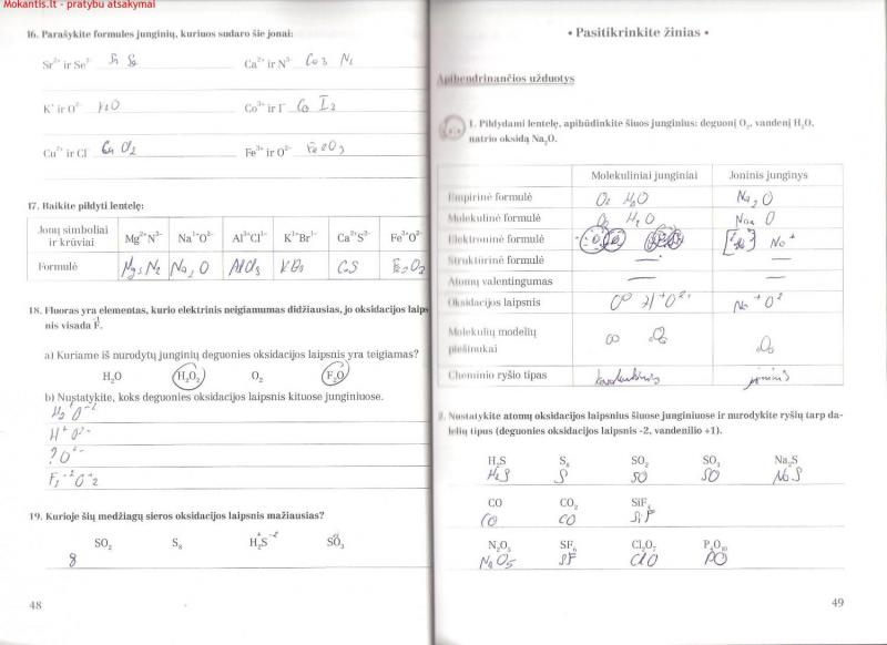 48-49 Puslapis