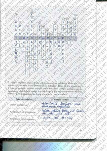 17 Puslapis
