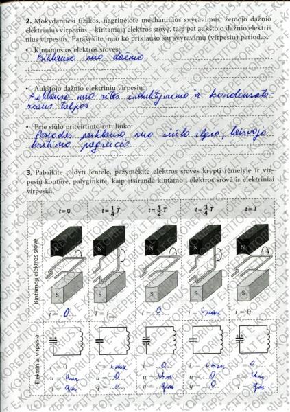 31 Puslapis