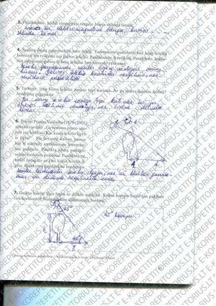 35 Puslapis