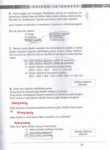 25 Puslapis