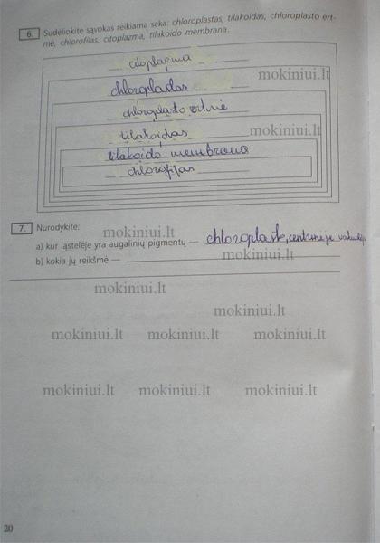 20 Puslapis