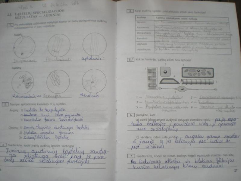 26-27 Puslapis