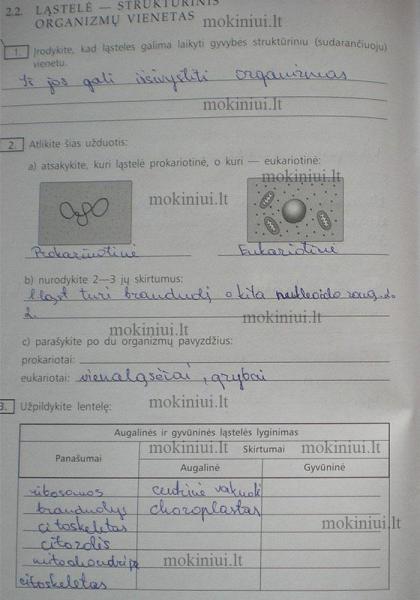 18 Puslapis