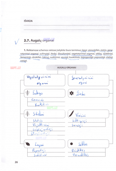 26 Puslapis