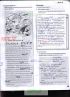 7ctnw5t0_t1.png