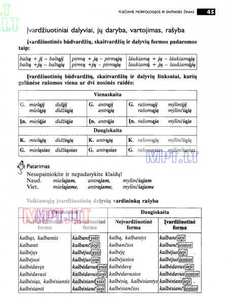 45 Puslapis