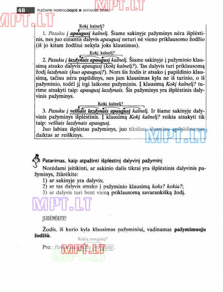 48 Puslapis