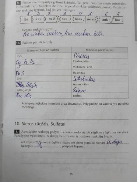 25 Puslapis
