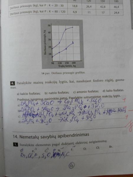 33 Puslapis