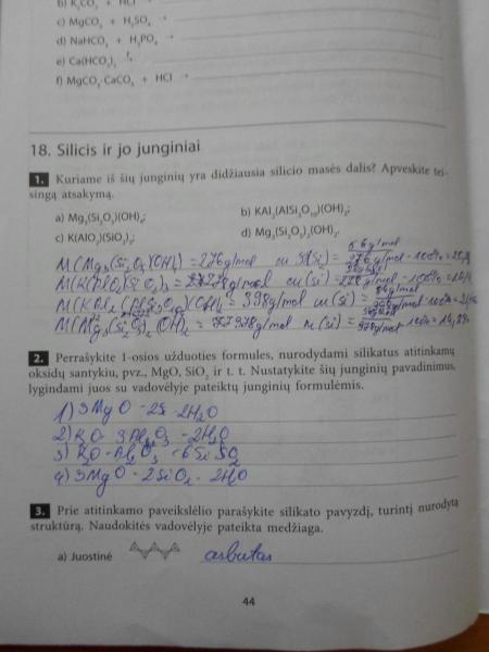 44 Puslapis