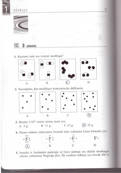 6 Puslapis