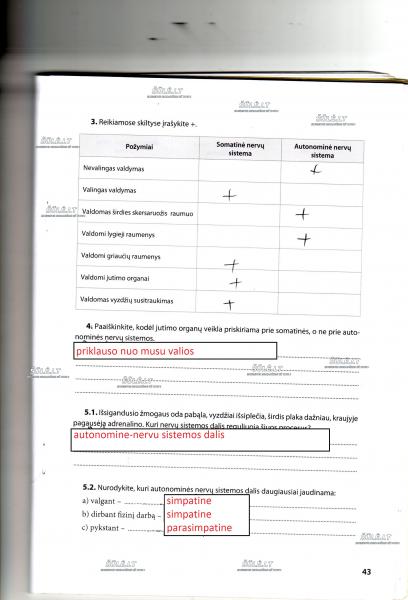 43 Puslapis