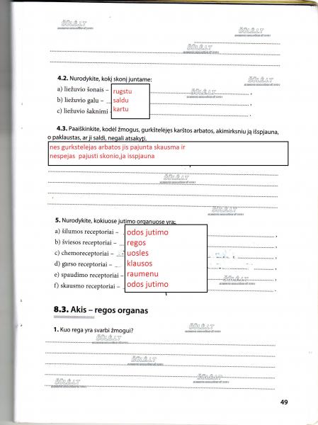49 Puslapis