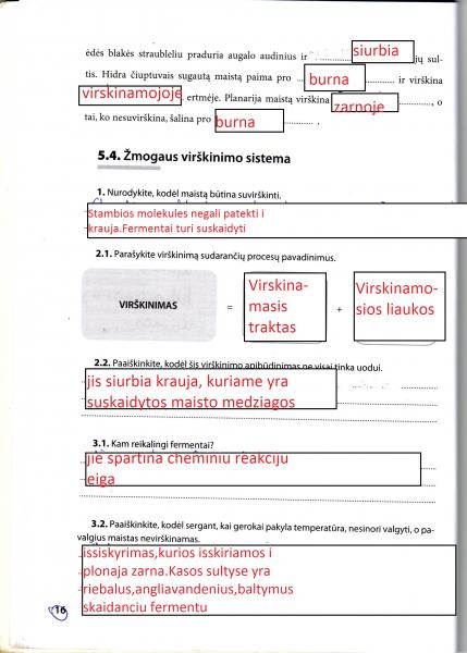 16 Puslapis