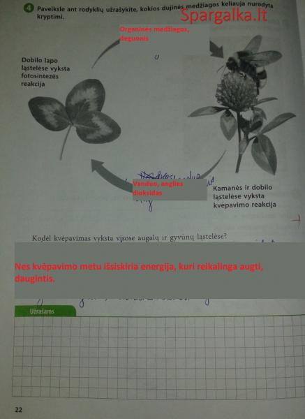 22 Puslapis