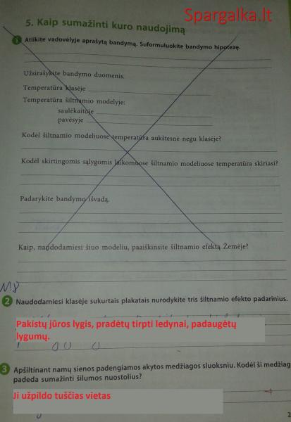 25 Puslapis