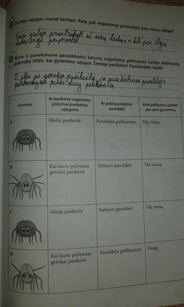 35 Puslapis