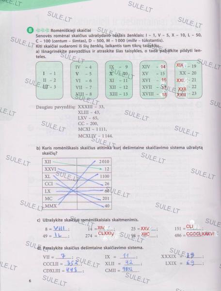 6 Puslapis