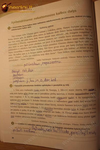 28 Puslapis