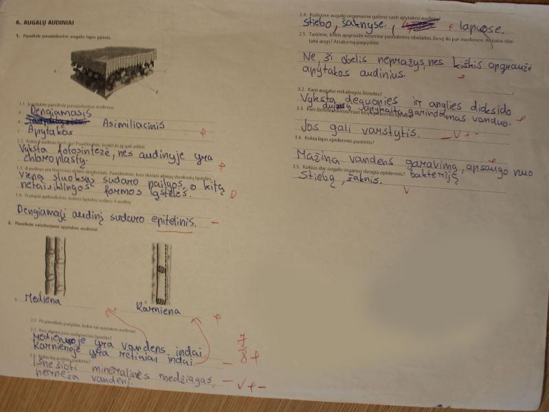Biologijos atsiskaitymas "Augalų audiniai"