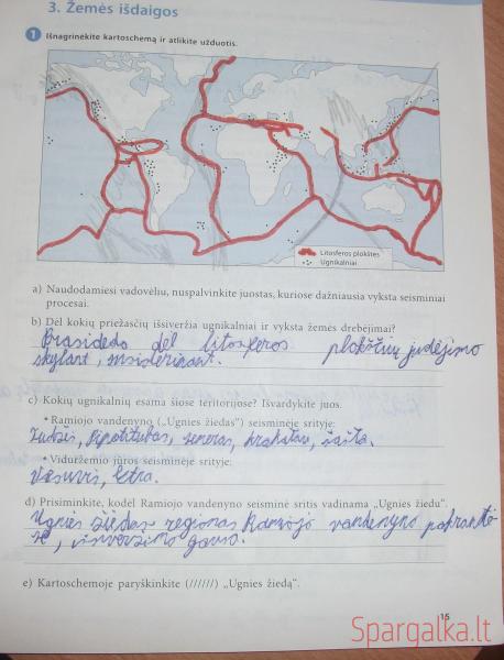 15 Puslapis