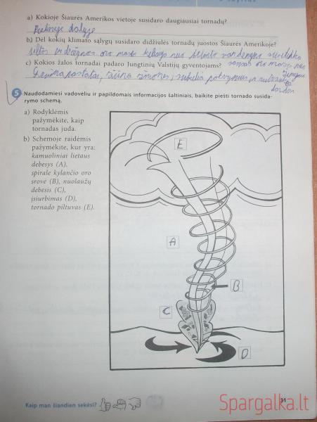 31 Puslapis