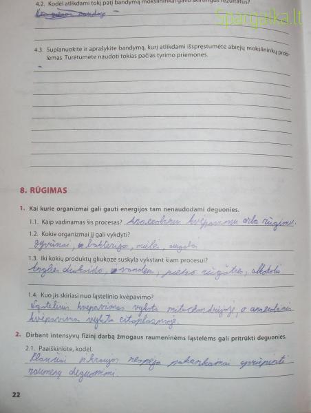 22 Puslapis
