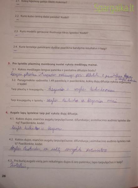 26 Puslapis
