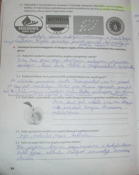 34 Puslapis