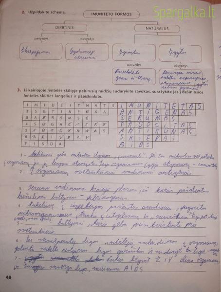 48 Puslapis
