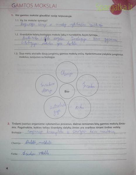 4 Puslapis