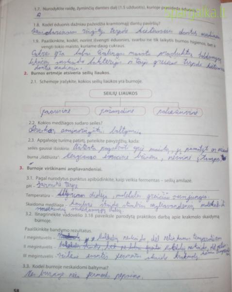 58 Puslapis