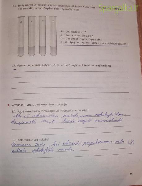 61 Puslapis