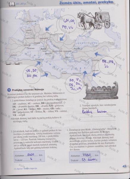 43 puslapis