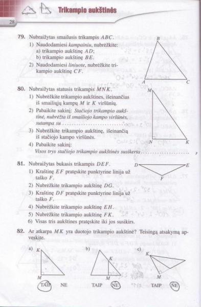 28 puslapis