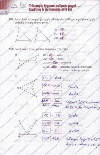 36 puslapis