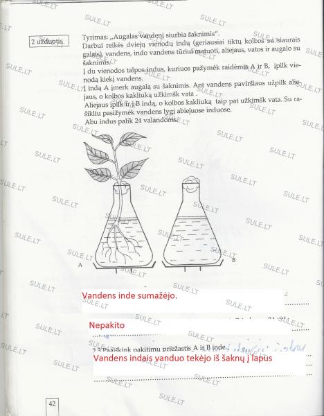 42 Puslapis