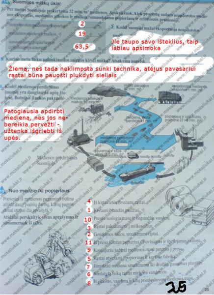 25 puslapis