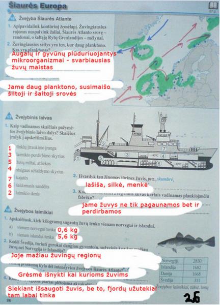 26 puslapis