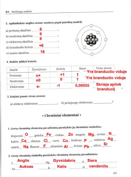 61 puslapis