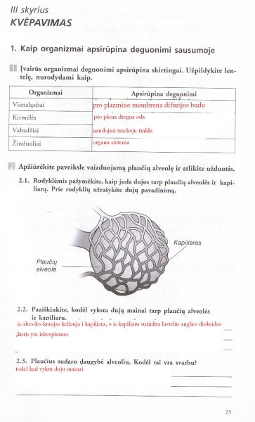 25 Puslapis