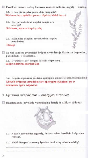 28 Puslapis