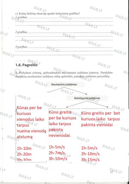 17 puslapis